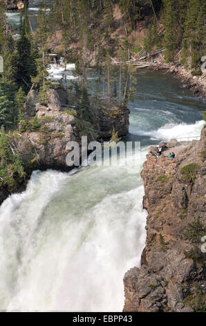 Upper Falls, rivière Yellowstone, le Parc National de Yellowstone, UNESCO World Heritage Site, Wyoming, United States of America Banque D'Images