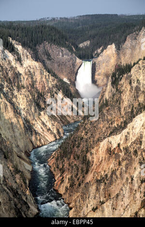 Lower Falls, rivière Yellowstone, le Parc National de Yellowstone, UNESCO World Heritage Site, Wyoming, United States of America Banque D'Images