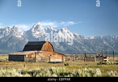 USA, Wyoming, Grand Teton National Park, Mormon Row, date de 1890, John Moulton Homestead, Grange Banque D'Images