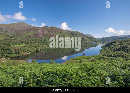 Vue sur Llyn Dinas, Galles Banque D'Images