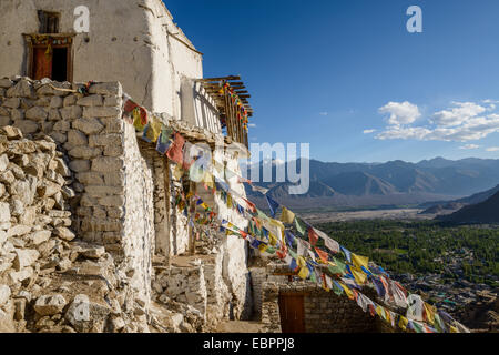 Le spectaculaire monastère Namgyal Tsemo perchés à Leh, Ladakh, Himalaya, Inde, Asie Banque D'Images