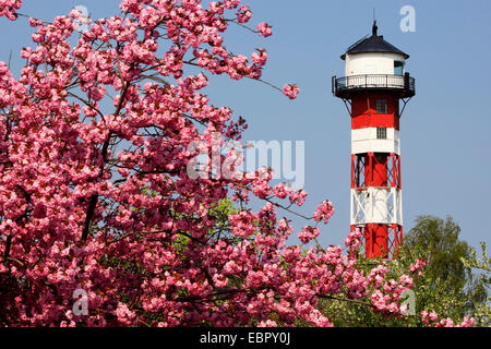 Gruenendeich phare et fleur de cerisier, ALLEMAGNE, Basse-Saxe, Altes Land Banque D'Images