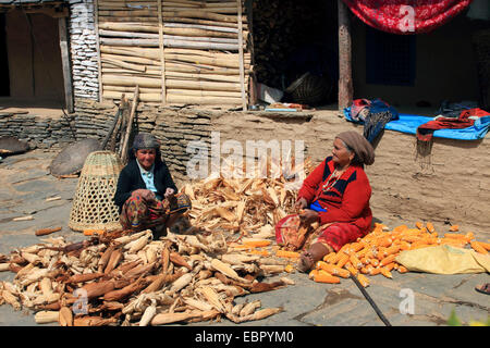 Deux femmes âgées rafle de décorticage, Népal, Katmandou, Pokhara, Himalaya Banque D'Images