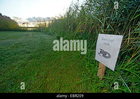 Adder, Viper, commune Politique européenne commune, Viper Viper (Vipera berus), signer en Suède, avertissement de vipères, Suède, Pays-Bas Banque D'Images