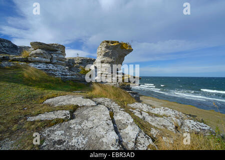 La formation de calcaire à la zone de Hoburgen riff sur Gotland, Suède, Gotland Banque D'Images