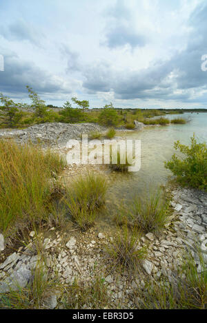 Dans l'étang de carrières de pierre fermé, la Suède, l'Nyrejsetrask , Gotland Banque D'Images