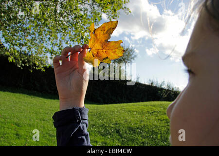 Petite fille à la recherche d'une feuille d'automne, en Allemagne, en Rhénanie du Nord-Westphalie Banque D'Images