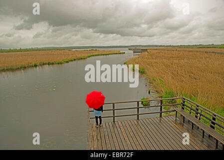 Femme avec parapluie rouge sur une promenade au Lac Federsee, Allemagne, Bade-Wurtemberg, Oberschwaben, NSG Federsee Banque D'Images