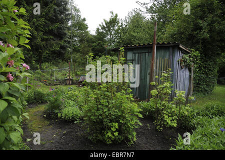 Ancien hangar dans un potager, de l'Allemagne, en Rhénanie du Nord-Westphalie, Ruhr, Witten Banque D'Images