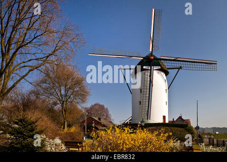 Tower Mill de Steprath à Walbeck trimestre, l'Allemagne, en Rhénanie du Nord-Westphalie, Geldern Banque D'Images