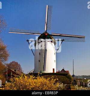 Tower Mill de Steprath à Walbeck trimestre, l'Allemagne, en Rhénanie du Nord-Westphalie, Geldern Banque D'Images