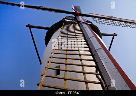 Tower Mill de Steprath à Walbeck trimestre, l'Allemagne, en Rhénanie du Nord-Westphalie, Geldern Banque D'Images