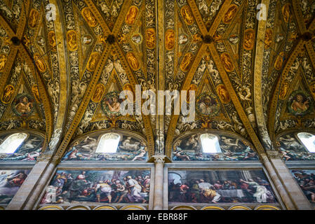 Parme, la Basilique Cathédrale à l'intérieur, les murs latéraux de la nef avec des fresques de l'Ancien et du Nouveau Testament Banque D'Images