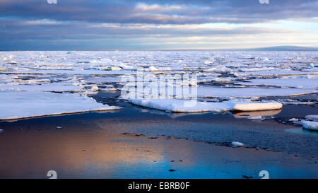 Dans la lumière du soir Liefdefjord, Norvège, Svalbard Banque D'Images