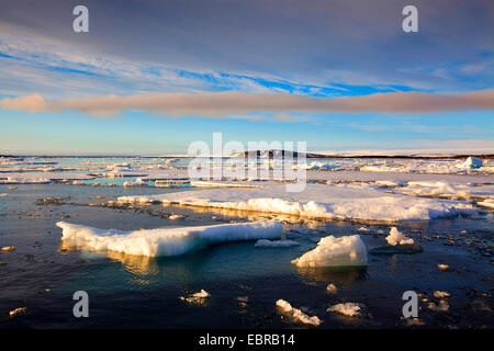 Dans la lumière du soir Liefdefjord, Norvège, Svalbard Banque D'Images