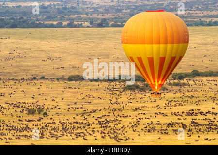 Balloon safari à la Masai Mara le matin, Kenya, Masai Mara National Park Banque D'Images