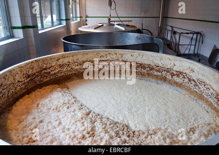 Les bouilloires de brassage de bière Banque D'Images