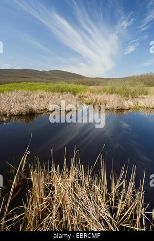 Arkutino conservation, Bulgarie, Sofia, Biosphaerenreservat Sosopol, Ropotamo Banque D'Images