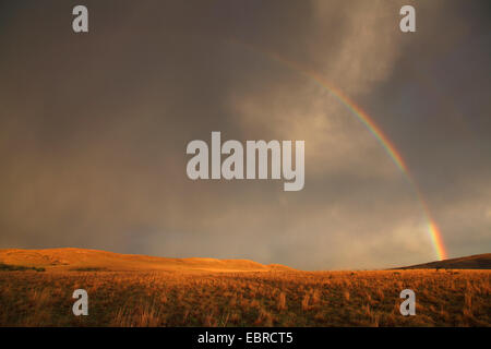 Arc-en-ciel sur la savane africaine après un orage, Afrique du Sud, Kgaswane Banque D'Images