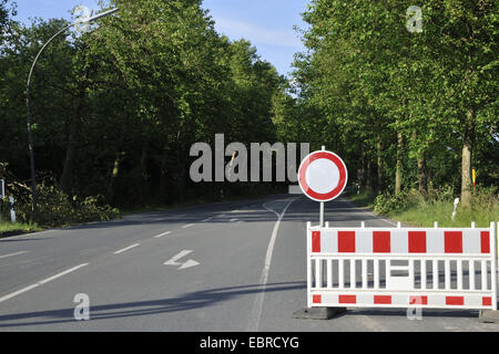 Plan fermé alley après la tempête/ELA, l'Allemagne, en Rhénanie du Nord-Westphalie, Ruhr, Castrop-Rauxel Banque D'Images