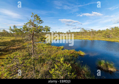 Highmoor dans Vaestmanland, Suède Banque D'Images