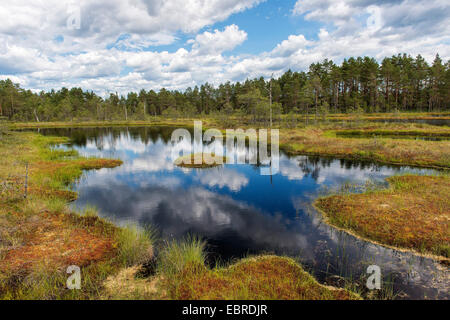 Highmoor dans Vaestmanland, Suède Banque D'Images