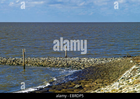 Stimuler les digues à marée haute, l'ALLEMAGNE, Basse-Saxe, Schleswig-Holstein mer des Wadden Parc National, Neuastenberg Banque D'Images