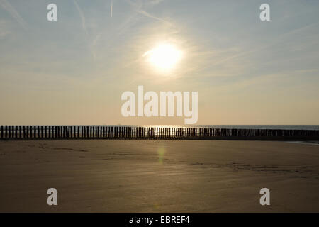 Plage et coucher de soleil en épi, Pays-Bas, Zeeland, Cadzand Banque D'Images