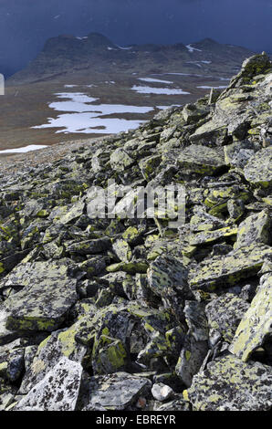 Sombres nuages sur Alvdal Vestfjell Fylke Hedmark, Norvège, Banque D'Images