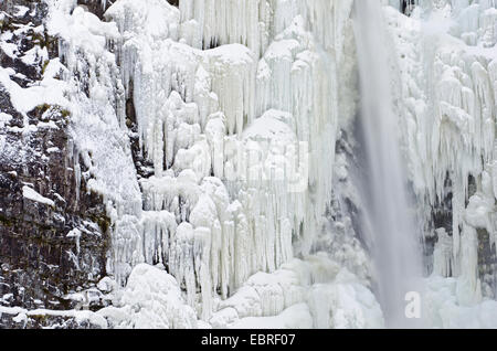 Cascade de glace, Njupeskaer Fulufjaellet la Norvège, Dalécarlie, Parc National Banque D'Images