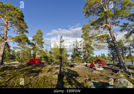 Le camping à un lac, la Suède, l'Haerjedalen, Rogen Naturreservat Banque D'Images