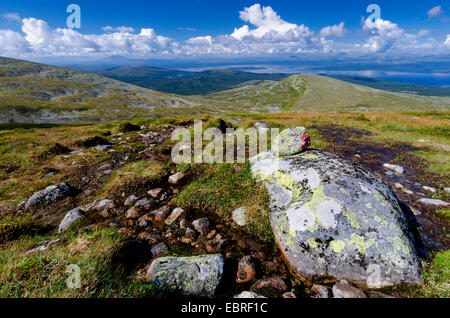 Vue depuis le mont Elgahogna sur le lac Femunden Fylke Hedmark, Norvège, Parc National, Femundsmarka Banque D'Images