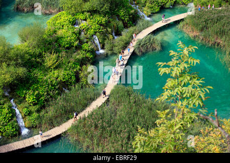 Sur le lac Kaluderovac woodway et Lake Lac Gavanovac, la Croatie, les lacs de Plitvice NP Banque D'Images