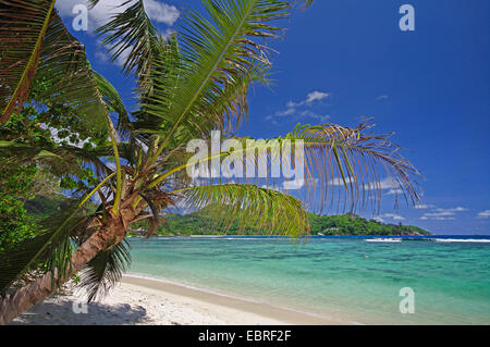 Plage de Baie Lazare sur l'île de Mahé, Seychelles, Mahe Banque D'Images