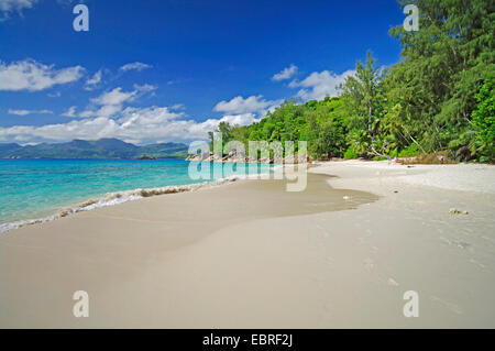 Plage d'Anse Soleil au sud de Mahe, Seychelles, Mahe Banque D'Images