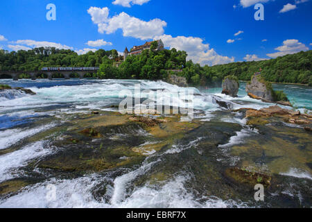 Chutes du Rhin près de Schaffhouse et le château de Laufen, Suisse, Schaffhausen Banque D'Images