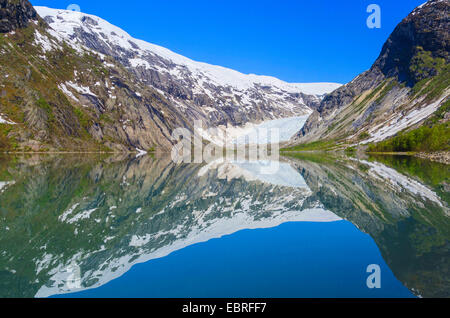 Nigaardsbreen des glaciers, le Parc National de Jostedalsbreen, Breheimen, Norvège, Sogn og Fjordane Fylke, lustre Banque D'Images