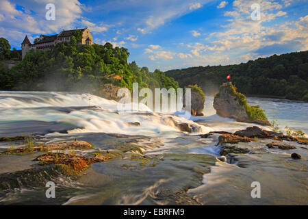 Chute du Rhin près de Schaffhouse avec château Laufen dans la soirée, Suisse, Schaffhausen Banque D'Images