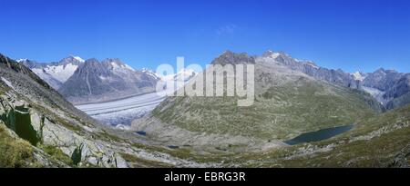Glacier d'Aletsch et les montagnes environnantes vu de Eggishorn 2926 m, Suisse, Valais, Oberwallis Banque D'Images