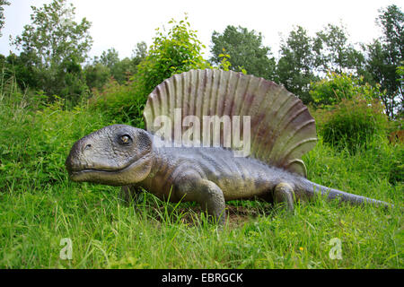 Edaphosaurus (Edaphosaurus), de mammifères, de reptiles comme sur de la première herbivors terrestres Banque D'Images