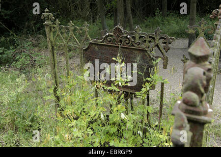 L'abandon, vieille tombe sur graveyeard à Altlewin, Allemagne, Brandenburg, Altlewin Banque D'Images