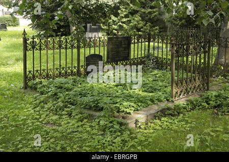 L'abandon, vieille tombe sur graveyeard dans Neureetz, Allemagne, Brandenburg, Neureetz Banque D'Images