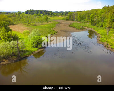 Photo aérienne de l'Seachtnmoor avec arbres morts, l'Allemagne, Bavière, Oberbayern, Haute-Bavière, Andechs Banque D'Images