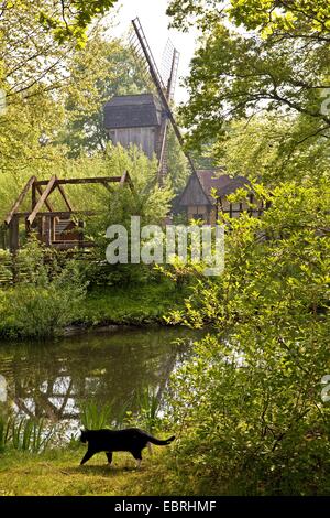 Moulin à eau à la poste dans le fossé Muehlenhof musée en plein air, l'Europe, l'Allemagne, en Rhénanie du Nord-Westphalie, région de Münster Banque D'Images