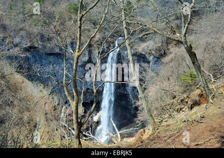 Cette photo de chutes Kegon a été prise à Nikko, Japon. Banque D'Images