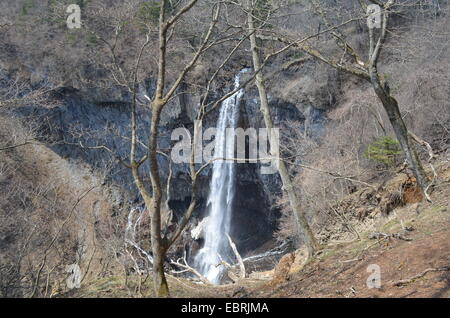 Cette photo de chutes Kegon a été prise à Nikko, Japon. Banque D'Images