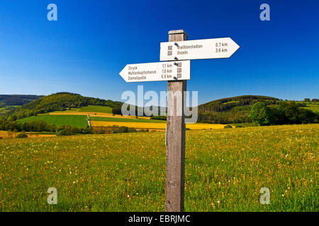 Panneaux de direction pour les touristes dans le magnifique paysage de printemps floraison à Willingen, Allemagne, Hesse, Willingen Banque D'Images