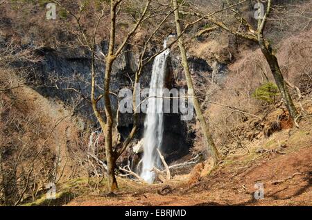 Cette photo de chutes Kegon a été prise à Nikko, Japon. Banque D'Images