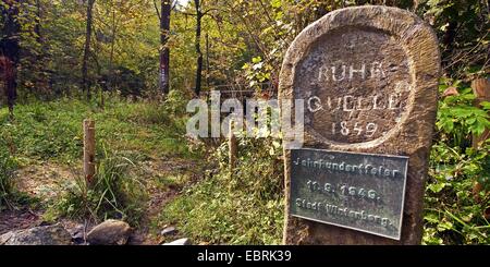 La rivière Ruhr chef pierre commémorative dans le Sauerland, Allemagne, Rhénanie du Nord-Westphalie, Rhénanie-Palatinat, Winterberg Banque D'Images