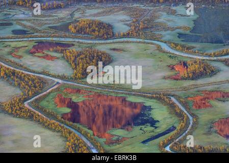 L'automne dans le Laitauredelta, Suède, Laponie, Norrbotten Banque D'Images